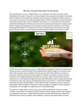 net zero essential information for businesses