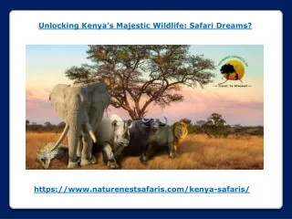 Unlocking Kenya’s Majestic Wildlife - Safari Dreams