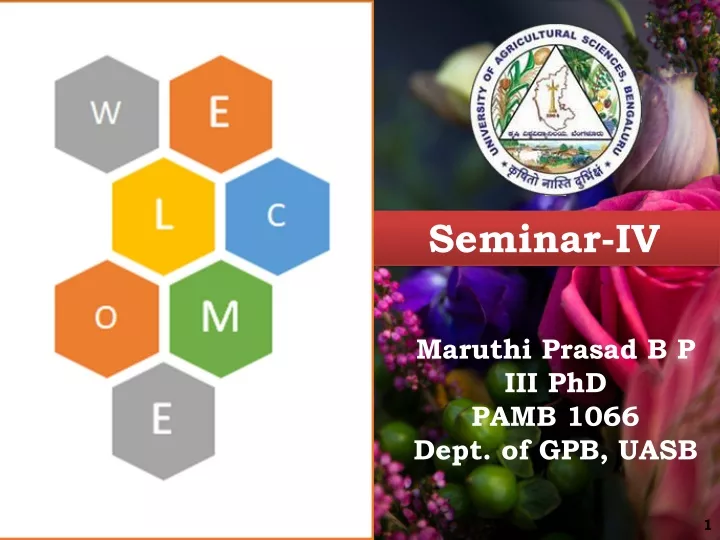 seminar iv