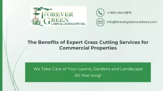 DIY Vs Professional Grass Cutting Services