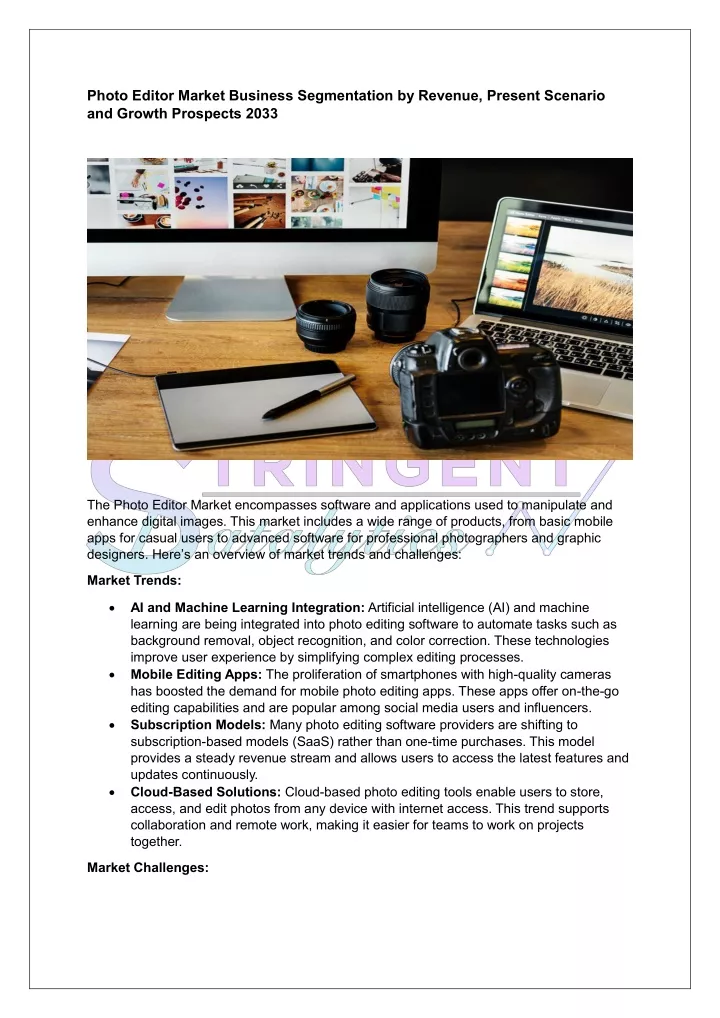 photo editor market business segmentation