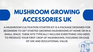 Mushroom cultivation starter kits UK