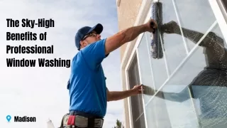 The Sky-High Benefits of Professional Window Washing