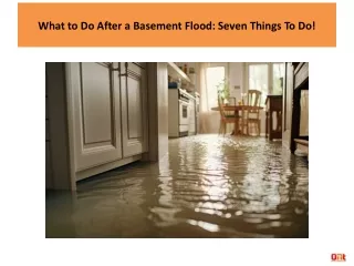 What to Do After a Basement Flood Seven Things To Do!