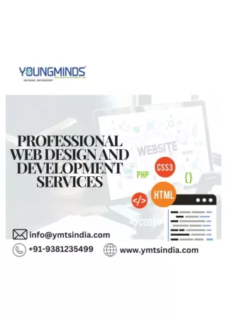 Professional Web Design and Development Services