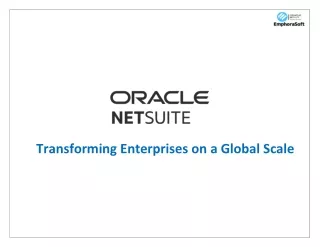 Certified Orcale Netsuite Provider