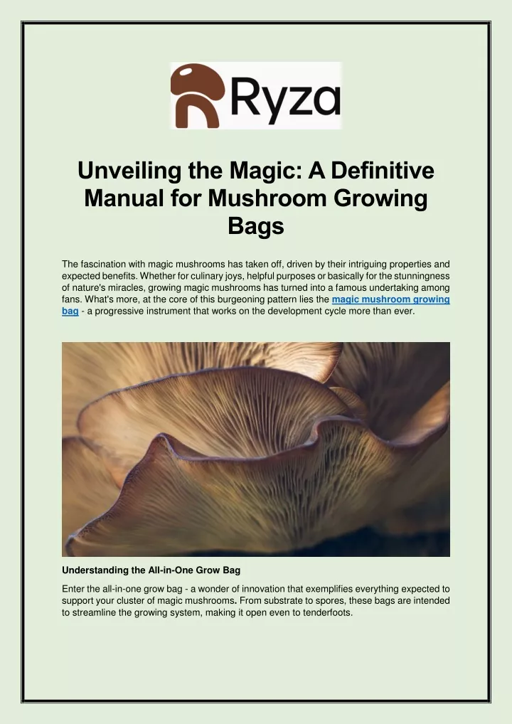 unveiling the magic a definitive manual