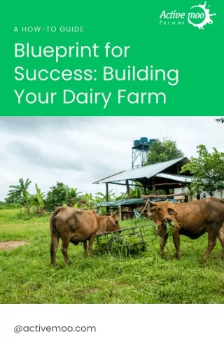 Blueprint for Success Building Your Dairy Farm