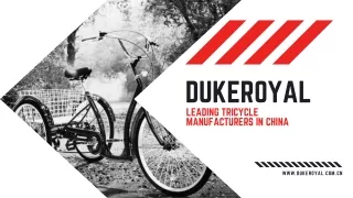 Duke Royal Electric Bike Manufacturers in China: Shaping the Future