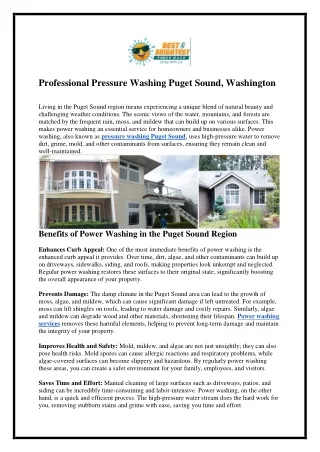 Professional Pressure Washing Puget Sound WA
