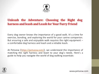 Unleash the Adventure: Choosing the Right dog harness and leash and Leash for Yo