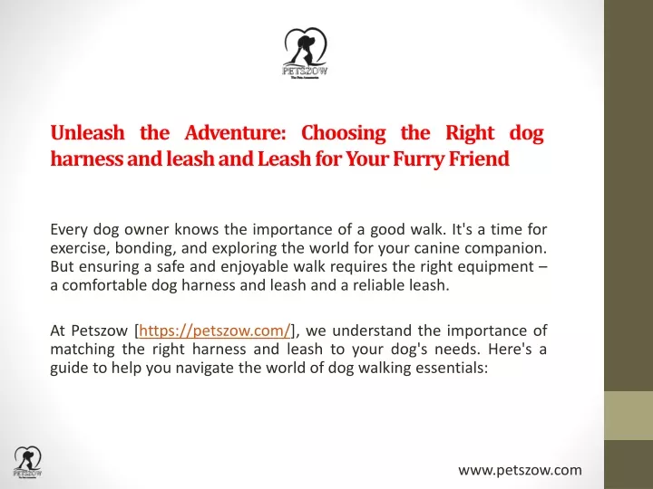 unleash the adventure choosing the right dog harness and leash and leash for your furry friend