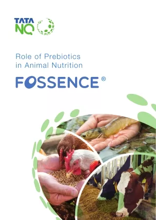 Role of Prebiotics in Animal Nutrition