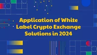 Application of White Label Crypto Exchange Solutions in 2024