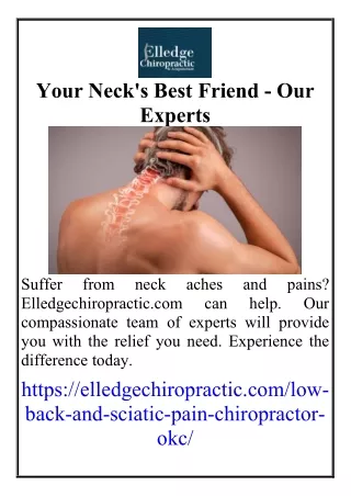 Your Neck's Best Friend - Our Experts