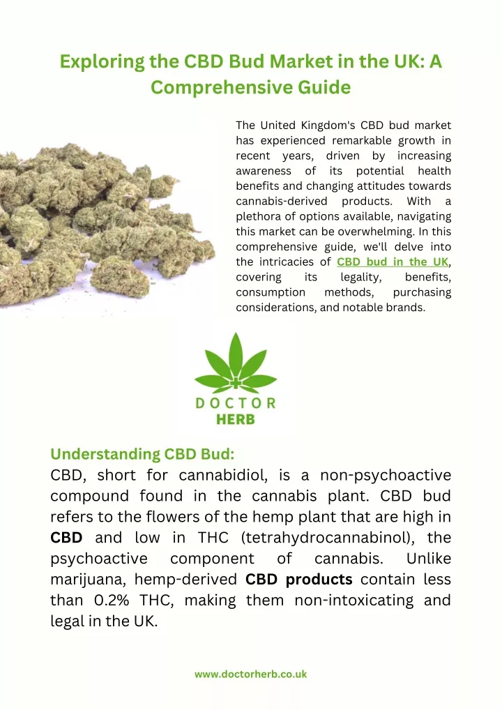 exploring the cbd bud market