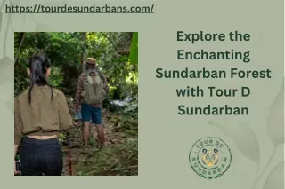 Explore the Enchanting Sundarban Forest with Tour D Sundarban