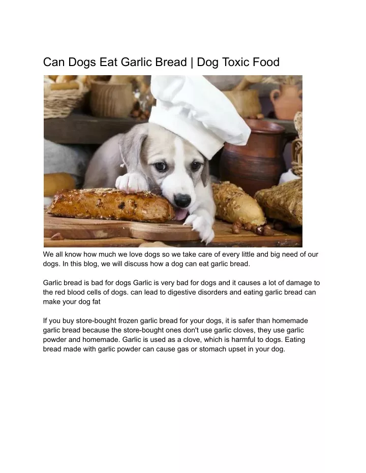 can dogs eat garlic bread dog toxic food