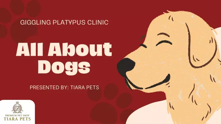 giggling platypus clinic