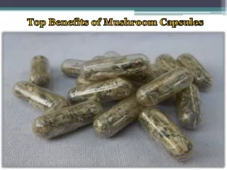 Top Benefits of Mushroom Capsules