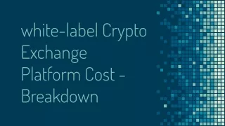 white-label Crypto Exchange Platform Cost - Breakdown