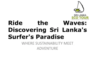 Ride the Waves Discovering Sri Lanka's Surfer's Paradise