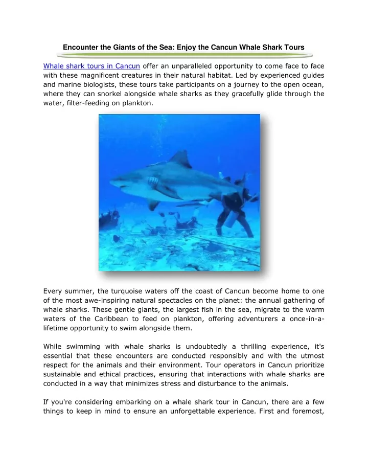 encounter the giants of the sea enjoy the cancun