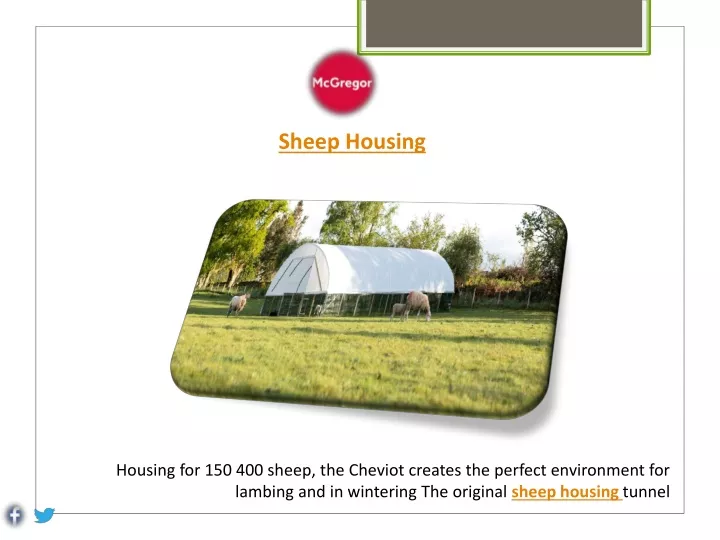 sheep housing