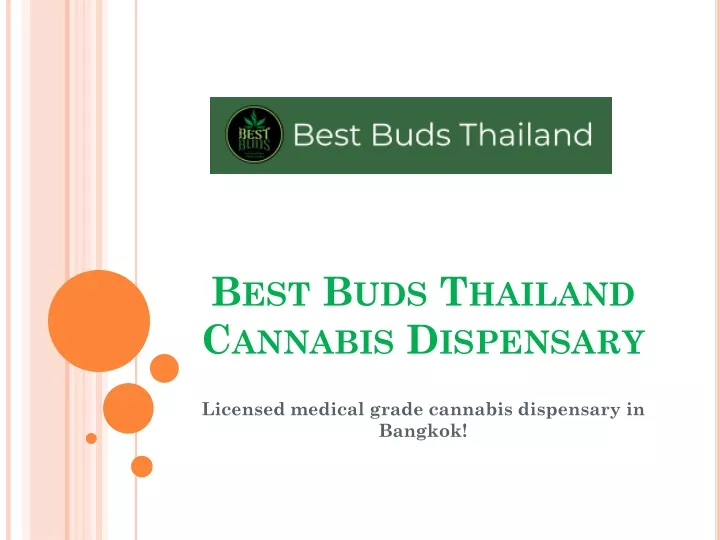 best buds thailand cannabis dispensary