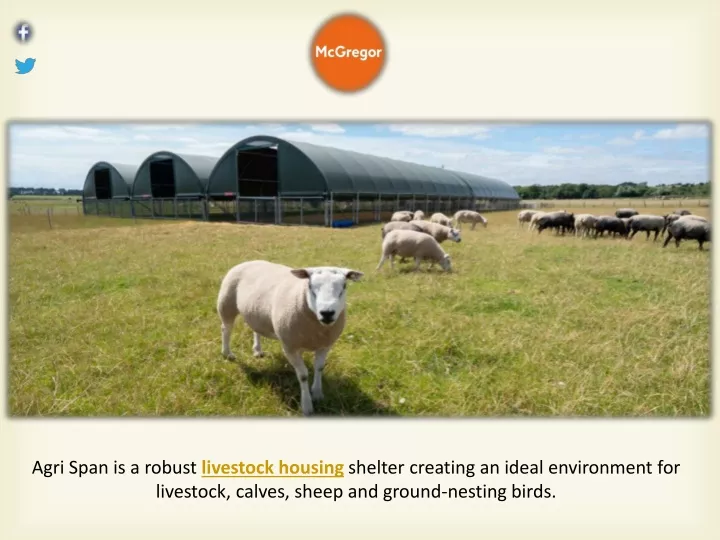 agri span is a robust livestock housing shelter