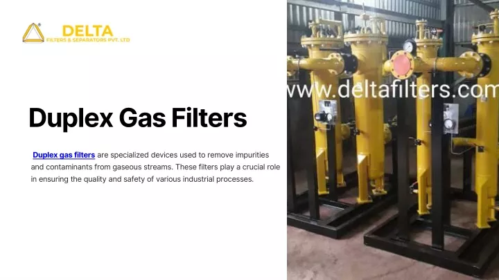 duplex gas filters