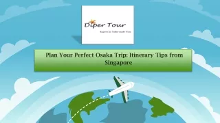 Plan Your Perfect Osaka Trip Itinerary Tips from Singapore