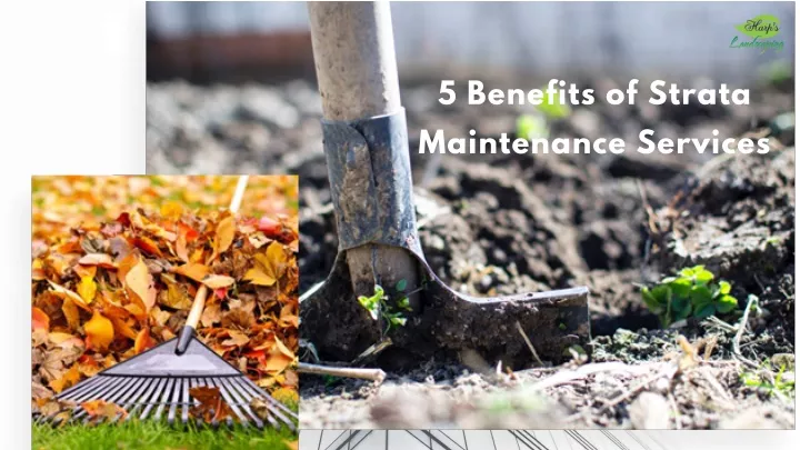 5 benefits of strata maintenance services