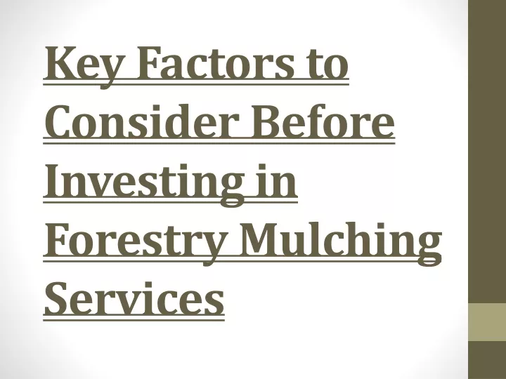 key factors to consider before investing in forestry mulching services