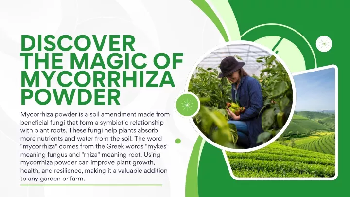 discover the magic of mycorrhiza powder