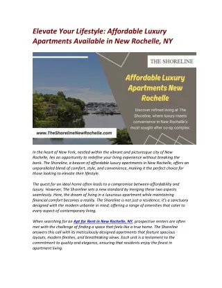 Elevate Your Lifestyle Affordable Luxury Apartments Available in New Rochelle, NY