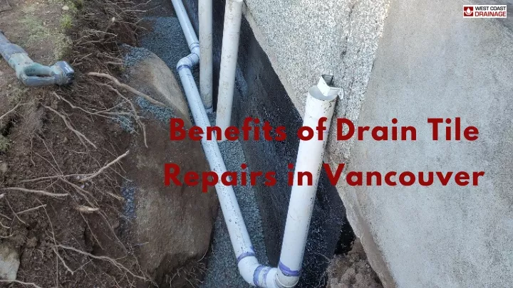 benefits of drain tile repairs in vancouver