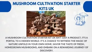 Mushroom cultivation starter kits UK