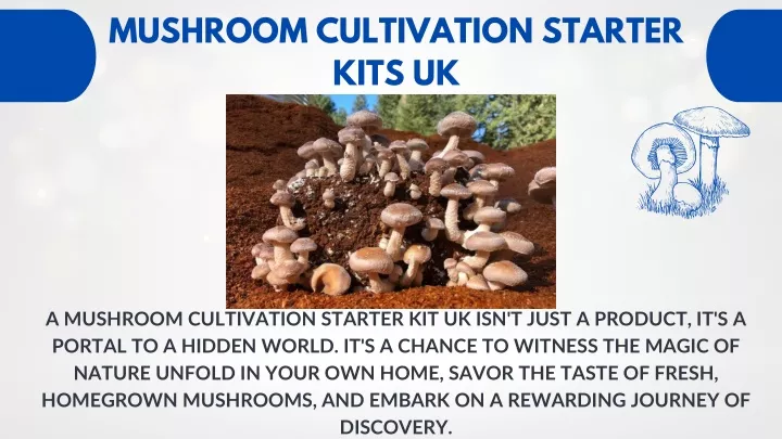 mushroom cultivation starter kits uk