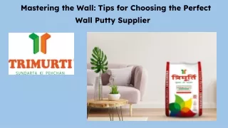 Mastering the Wall_ Tips for Choosing the Perfect Wall Putty Supplier