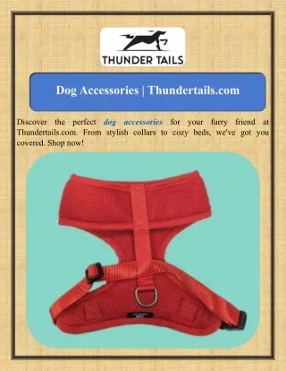 Dog Accessories Thundertails.com