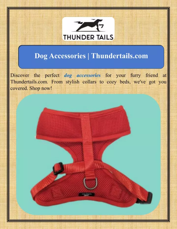 discover thundertails com from stylish collars