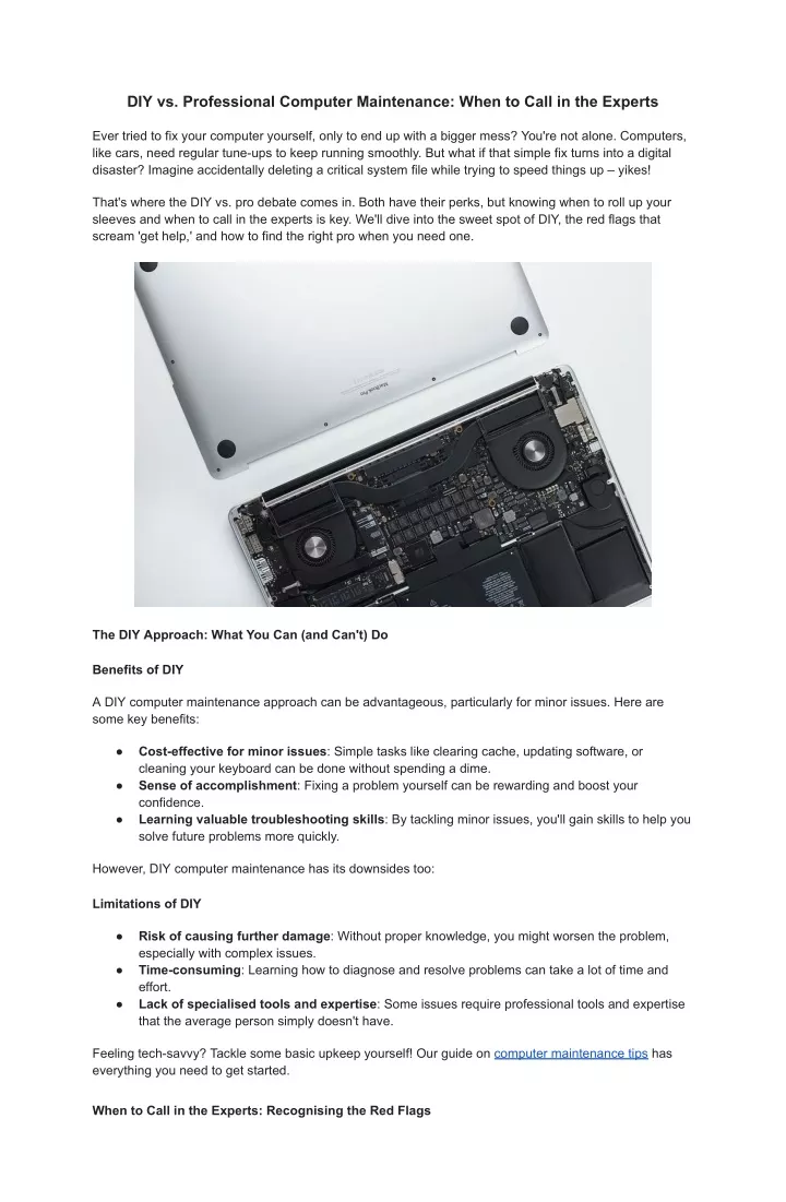 diy vs professional computer maintenance when