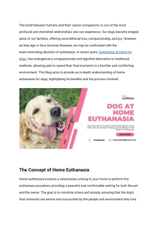 Understanding Home Euthanasia for Dogs