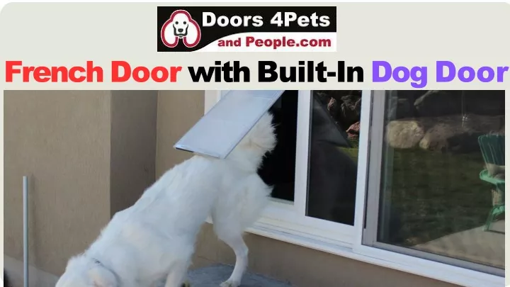 french door with built in dog door