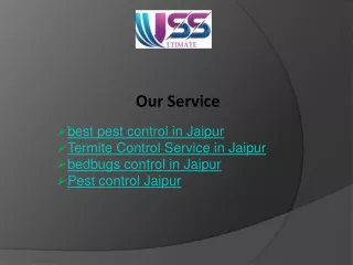 best pest control in Jaipur
