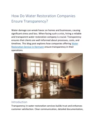 How Do Water Restoration Companies  Ensure Transparency?