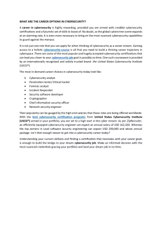 what are the career options in cybersecurity