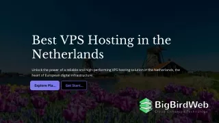 best vps hosting in the netherlands