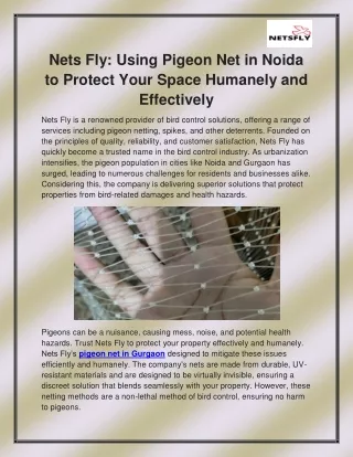 Pigeon net in Noida